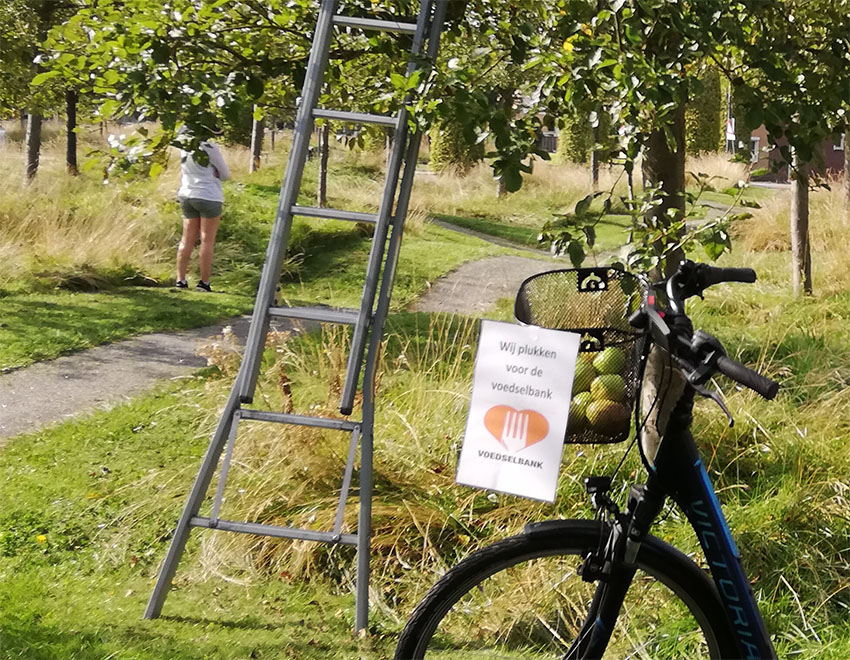 Wiebeltuinen oogst appelboomgaard kunst in openbare ruimte
