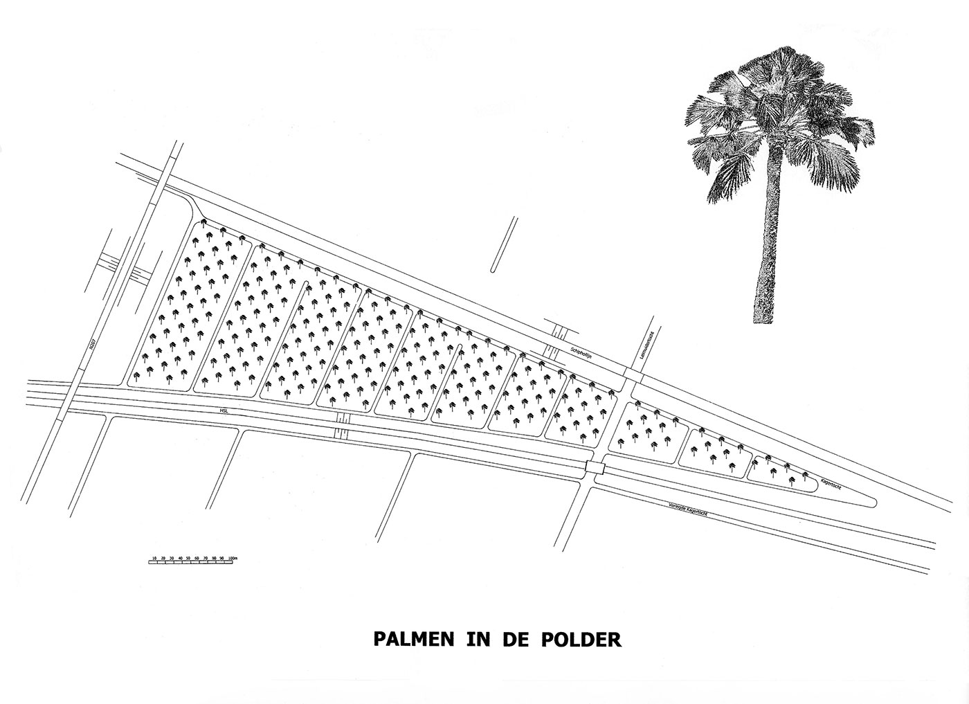 Palmen-in-de-polder-1.jpg